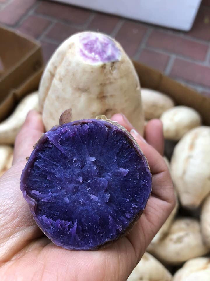 Khoai tím Úc có vỏ ngoài màu trắng, bên trong ruột lại màu tím. Ảnh: Facebook.