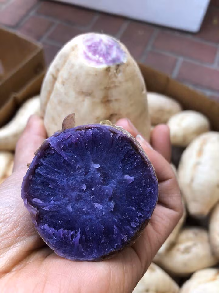 Khoai tím Úc có vỏ ngoài màu trắng, bên trong ruột lại màu tím. Ảnh: Facebook.