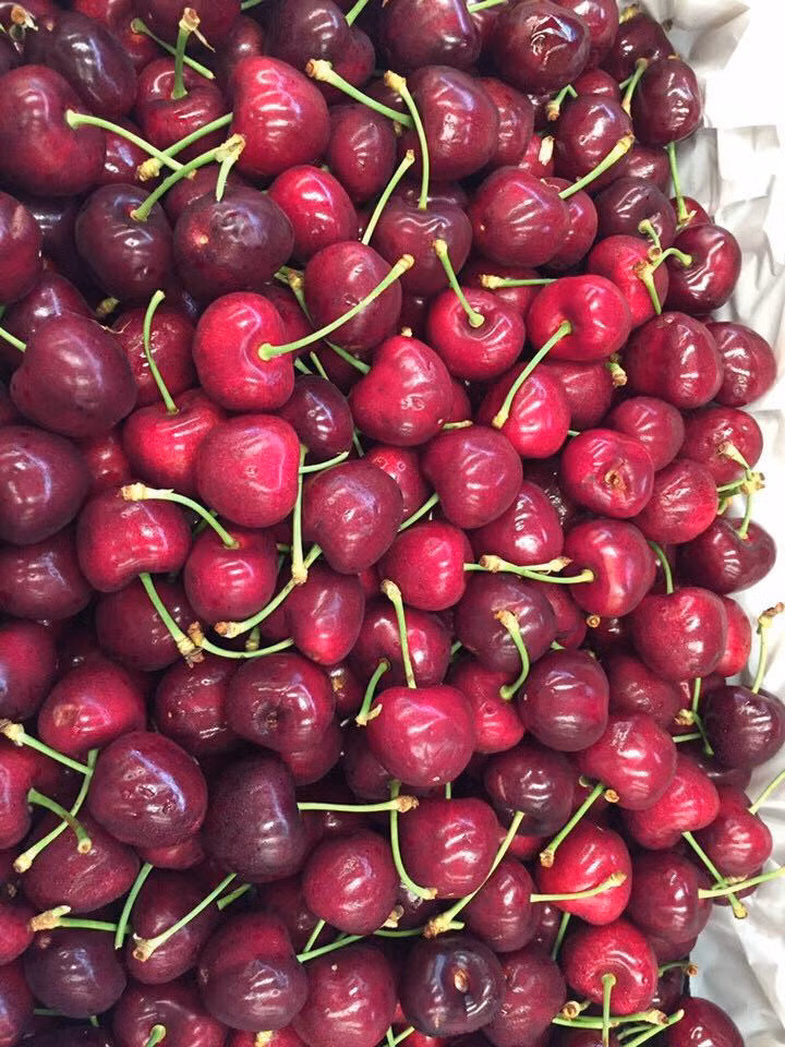 Tại các siêu thị và cửa hàng hoa quả nhập khẩu, giá cherry năm nay đều giảm từ 40 - 50% so với năm trước, dao động từ 225.000 - 300.000 đồng/kg.