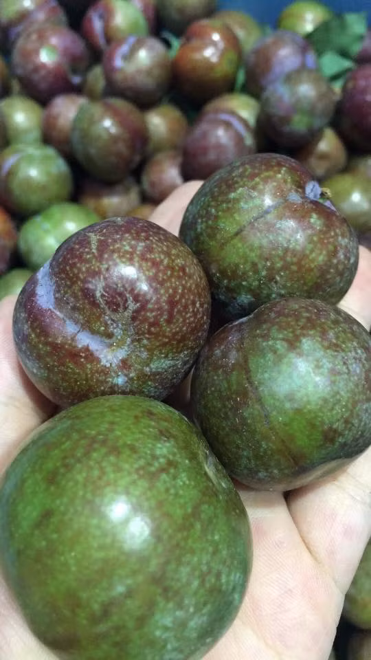 Loại 2, quả xanh hơn một chút thì giá thấp hơn khoảng 120.000 đồng. Ảnh: FB Bich Hao.