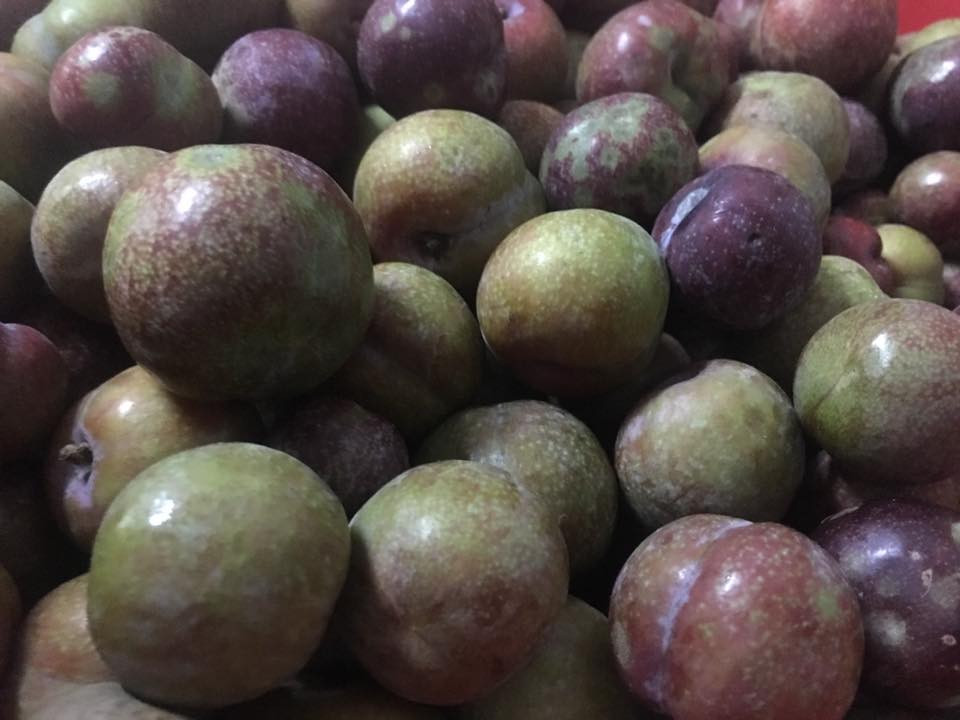 Mận hậu được chia thành 2 loại, loại 1 chín đều, quả to tròn căng thì giá đắt hơn khoảng 150.000 - 250.000 đồng. Ảnh: FB Bich Hao.