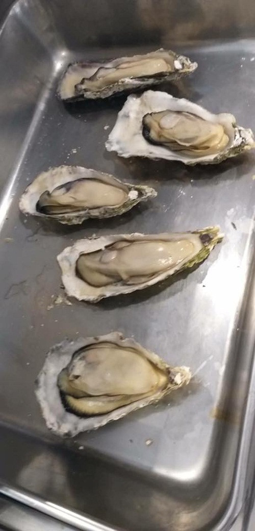 Tiếp đến, hàu được cấp đông nhanh bằng công nghệ hiện đại để đảm bảo độ tươi ngon. Ảnh: Oanhtraicay.