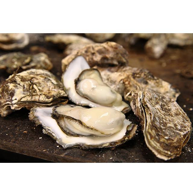 Hàu tách vỏ có mức giá cao như vậy là bởi nó được nuôi xa bờ hàng cây số tại những vùng biển cực sạch ở Nhật Bản để đảm bảo chất lượng nước và thức ăn hoàn toàn không nhiễm bẩn. Ảnh: Moshimoshi.