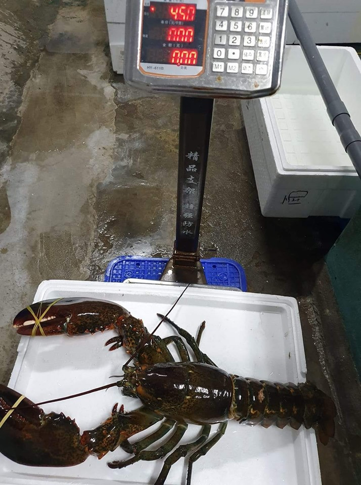Theo Báo Người lao động, tôm hùm Alaska tươi sống nhập từ Canada, Mỹ giá thấp nhất gần 700.000 đồng/kg (cỡ nhỏ) nên giá bán sỉ ra thị trường tối thiểu cũng 700.000 đồng/kg. Ảnh: Facebook.