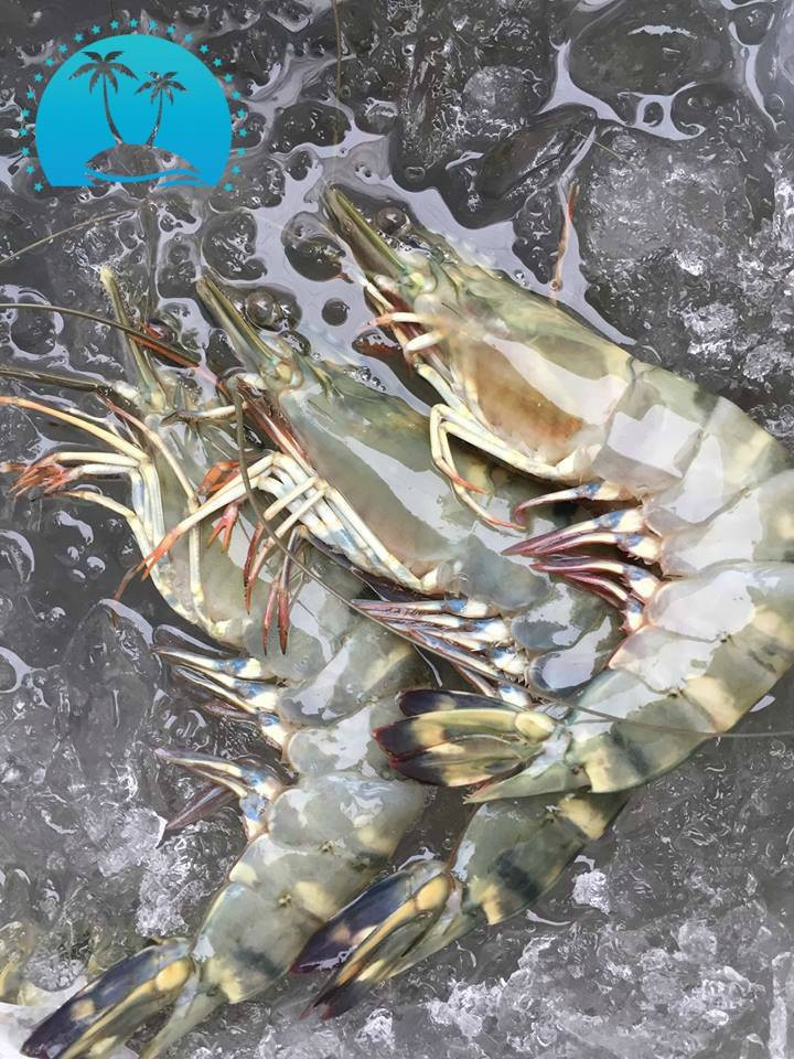 Loại tôm ngộp hoặc đã nấu chín giá bán từ 550.000 - 700.000 đồng/kg. Ảnh: Daohaisan.