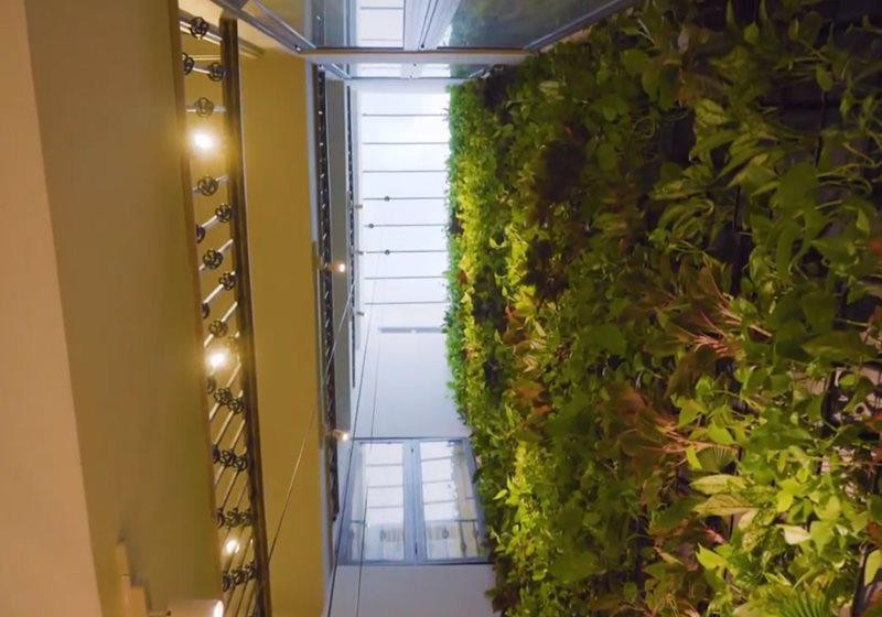 Không gian nhà thoáng đãng mang đến cảm giác thư thái, bình an. Ảnh: Giadinh.net.