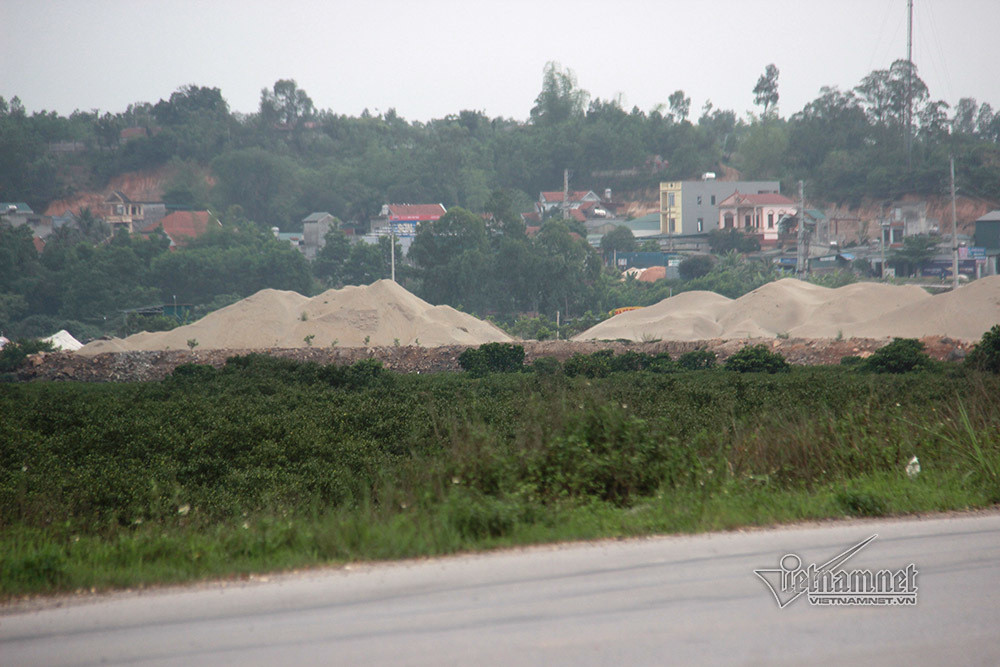 Bai tap ket cat trai phep lan 7.000m2 rung ngap man Quang Ninh-Hinh-4