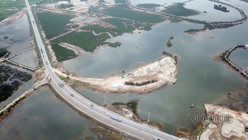 Bai tap ket cat trai phep lan 7.000m2 rung ngap man Quang Ninh-Hinh-6