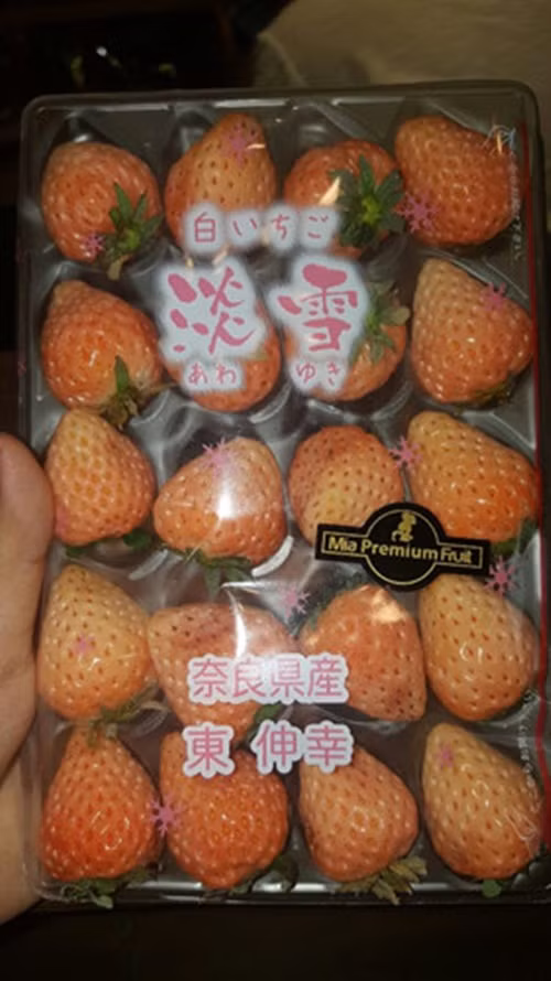 Các gia đình khá giả còn không tiếc tiền mua hoa quả nhập khẩu để thưởng thức và đãi khách dịp Tết như dâu anh đào Nhật (hơn 3 triệu đồng/kg), nho mẫu đơn Nhật (hơn 1 triệu đồng/kg), cherry đỏ New Zealand (600.000 đồng/kg)...Ảnh: Vinfruits.