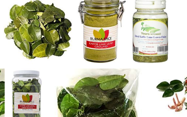 Có lẽ vì nhận thấy lợi nhuận lớn từ loại lá bình thường này, mà từ vài năm trước, lá chanh đã được một số công ty thu gom hàng chục tấn xuất khẩu sang thị trường châu Âu, thu về cả triệu USD. Ảnh: VTV.