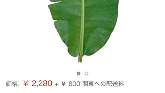 Thế nhưng, trên trang Amazon Nhật Bản,một chiếc lá chuối tươi được bán với giá 2.280 yên, tương đương gần 500.000 đồng. Ảnh: Amazon.
