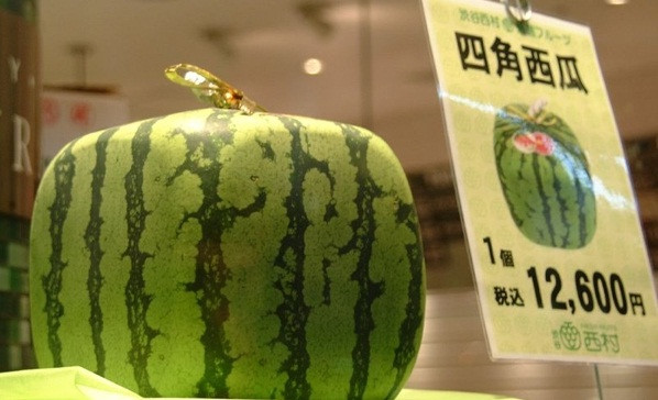 Phần lớn, người mua dưa hấu vuông không phải để thưởng thức mà chủ yếu làm quà biếu, tặng. Nguồn ảnh: Lraber.