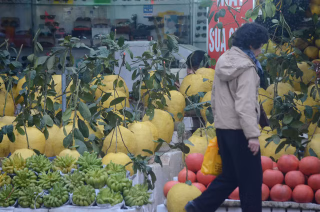 Những quả bưởi to, đẹp mã và có cành, lá thì giá có thể lên đến một triệu đồng. Ảnh: VTV.