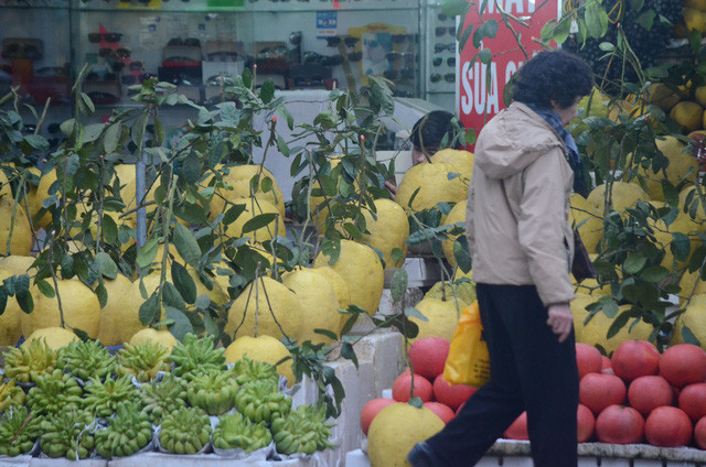 Những quả bưởi to, đẹp mã và có cành, lá thì giá có thể lên đến một triệu đồng. Ảnh: VTV.