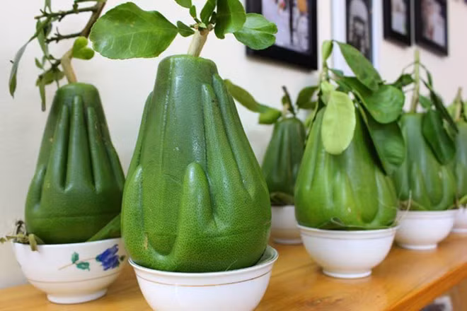 Mỗi quả bưởi hình tay Phật có khối lựơng từ 800 gram đến 1 kg thu hút nhiều khách hàng dù giá bán khoảng 600.000 đồng/trái. Ảnh: Zing.