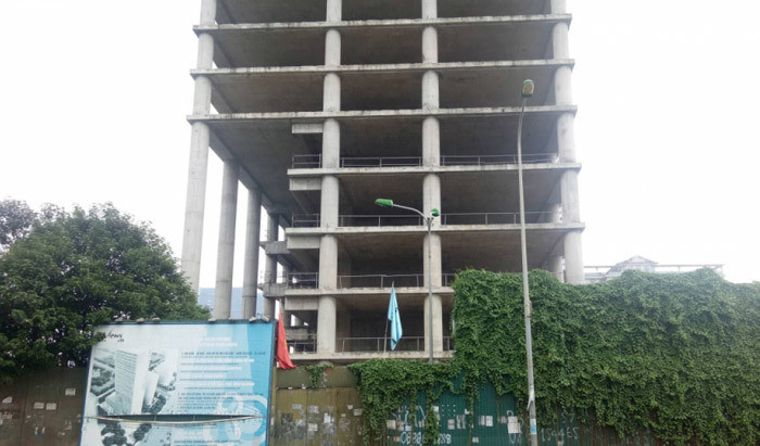 Vicem Tower được xây dựng với mục đích làm trụ sở điều hành cho Tổng công ty Công nghiệp Xi măng Việt Nam kết hợp với văn phòng cho thuê và kinh doanh thương mại, tất cả đều đạt tiêu chuẩn hạng A. Công trình được khởi công từ năm 2011, dự kiến hoàn thành năm 2014 nhưng đến nay, Vicem Tower mới chỉ xây xong phần thô.