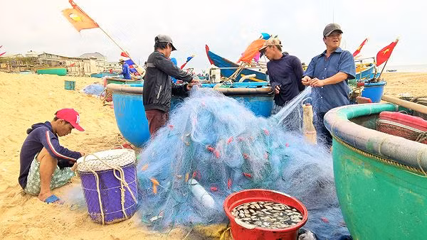 Trung bình mỗi thuyền thu được từ 3-5 triệu đồng trong ngày mùng 4 Tết. Ảnh: Tiền phong.