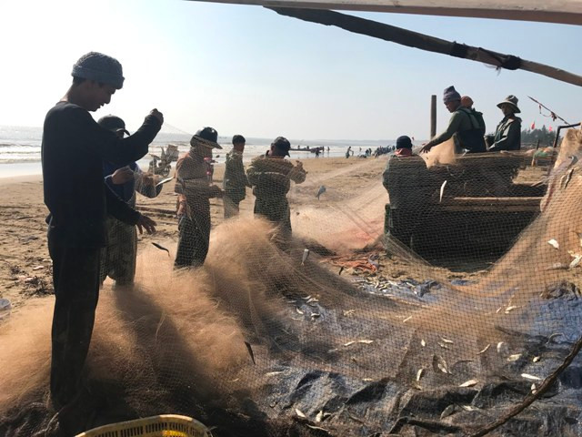 Không chỉ vui mừng vì trúng đậm cá, ngư dân còn phấn khởi vì các loại cá khai thác được đầu năm cũng tăng cao nhiều lần so với ngày thường. Ảnh: Dân Việt.