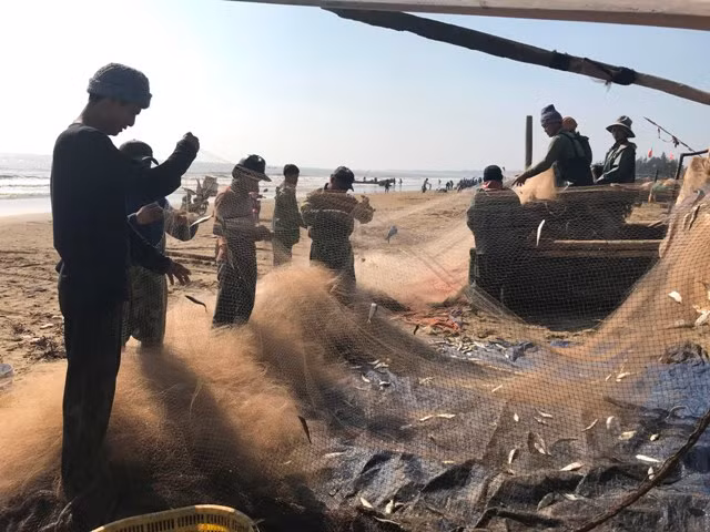 Không chỉ vui mừng vì trúng đậm cá, ngư dân còn phấn khởi vì các loại cá khai thác được đầu năm cũng tăng cao nhiều lần so với ngày thường. Ảnh: Dân Việt.