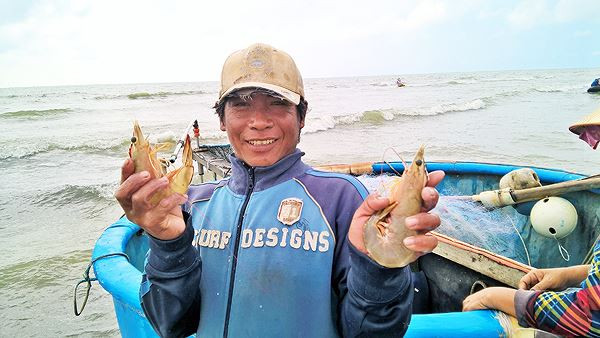 Kết thúc ngày ra khơi đầu năm, ngư dân trở về ăn mừng thắng lợi với đủ các loại cá, tôm đầy khoang. Ảnh: Tiền phong.