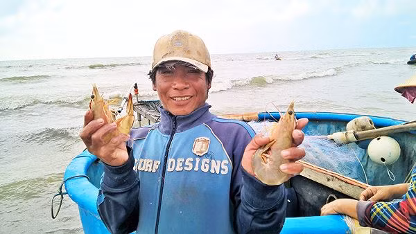 Kết thúc ngày ra khơi đầu năm, ngư dân trở về ăn mừng thắng lợi với đủ các loại cá, tôm đầy khoang. Ảnh: Tiền phong.