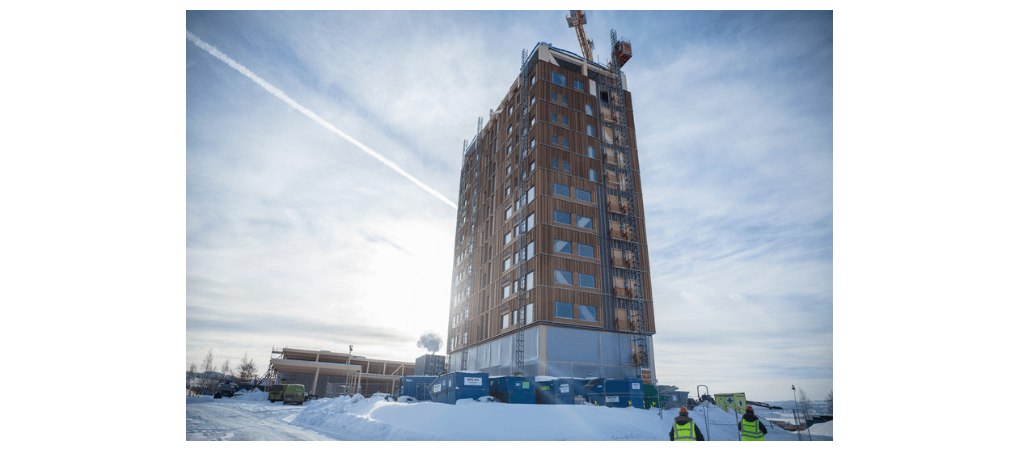 Gỗ Kerto LVL sử dụng trong tòa nhà rất bền và không cong vênh. Ảnh: Industryeurope.