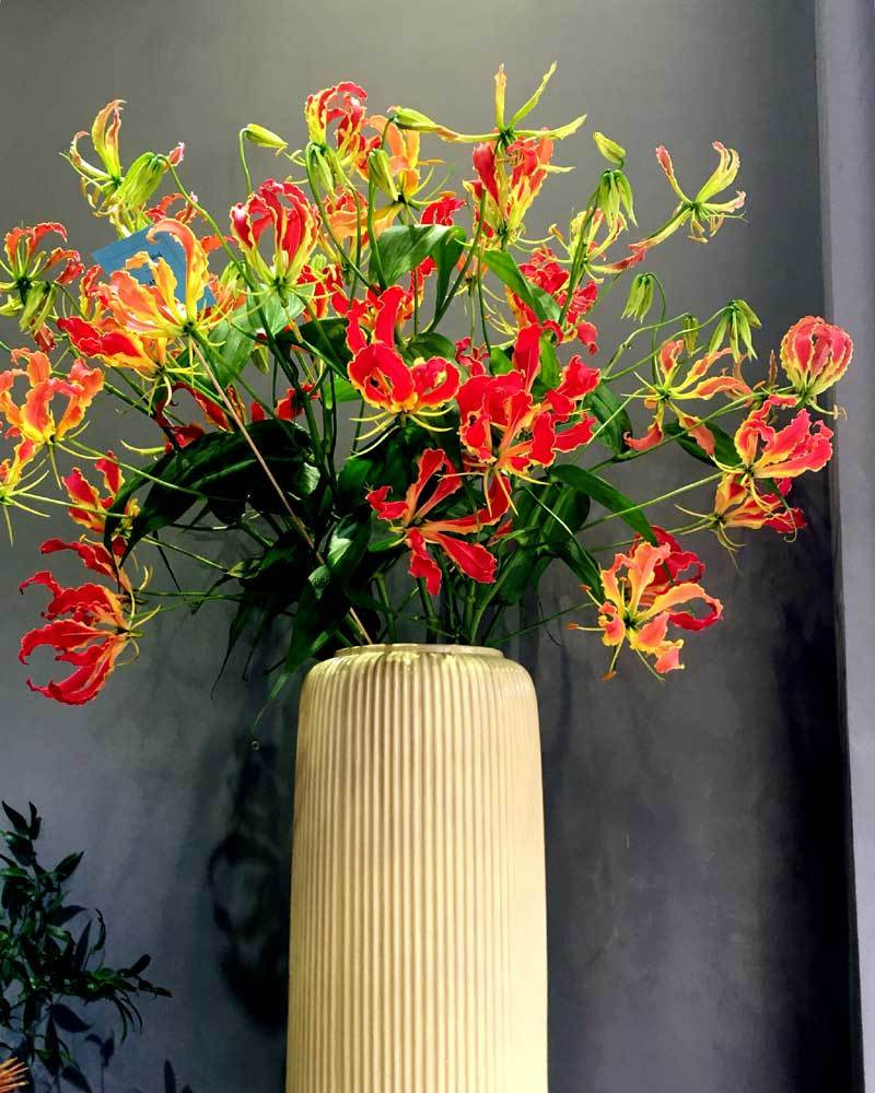 Dịp cuối năm, thị trường hoa Tết trở nên sôi động với sự xuất hiện của các loài hoa nhập khẩu. Trong đó, hoa ly lửa đang được nhiều chị em yêu thích. Ảnh: Vietnamnet.