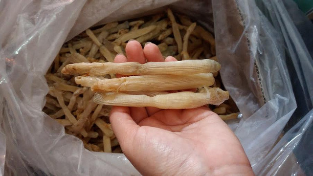 Là một trong những hải sản quý hiếm từ xưa, sá sùng có giá thành khá cao. Tại một vài thời điểm, giá 1kg thành phẩm của loại “sâu biển” này tương đương với một chỉ vàng. Ảnh: Gia đình&amp;Xã hội.