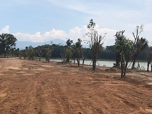 He lo so tien phat va truy thu thue 