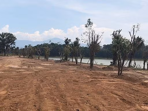 He lo so tien phat va truy thu thue 