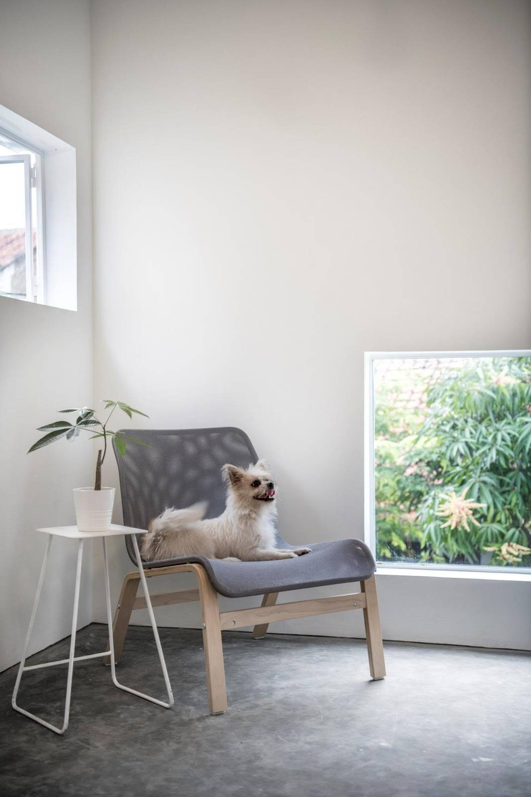 Nội thất các tầng đơn giản nhưng tinh tế.