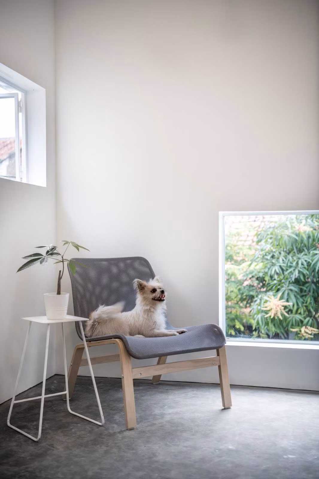 Nội thất các tầng đơn giản nhưng tinh tế.