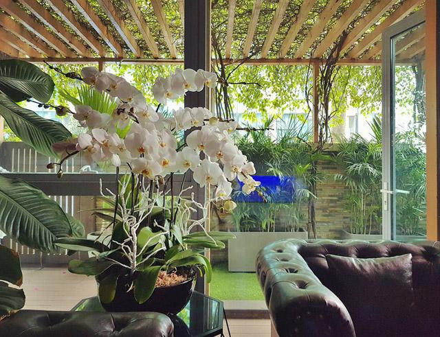 Trong nhà, nam ca sĩ Nathan Lee còn có nhiều loại lan đua nhau bung nở. Ảnh: Khám phá.