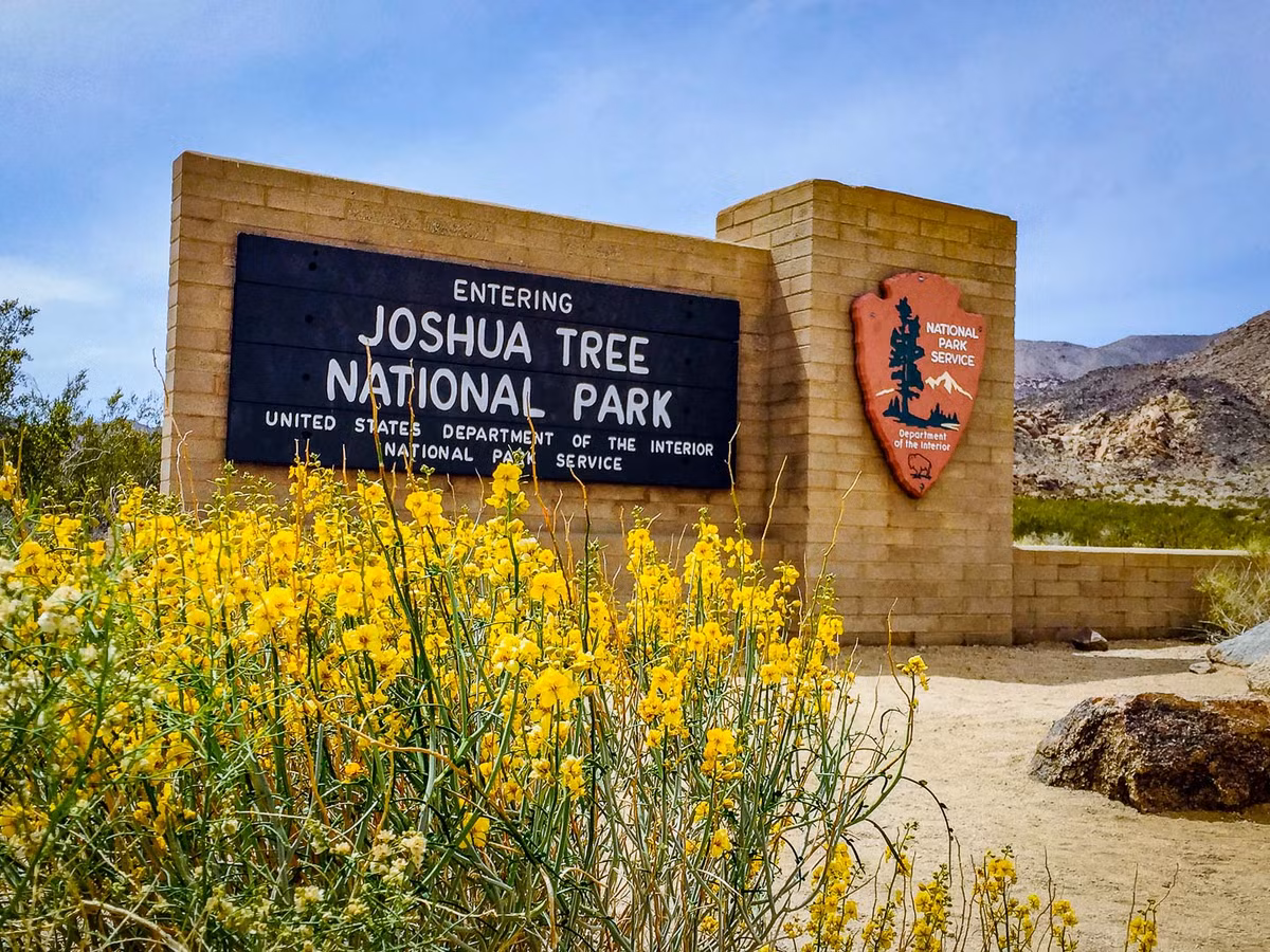 Công viên quốc gia Joshua Tree nằm ở Đông Nam bang California (Mỹ) có lịch sử hàng nghìn năm và được chính phủ Mỹ liệt vào trọng điểm bảo tồn di tích, di sản.
