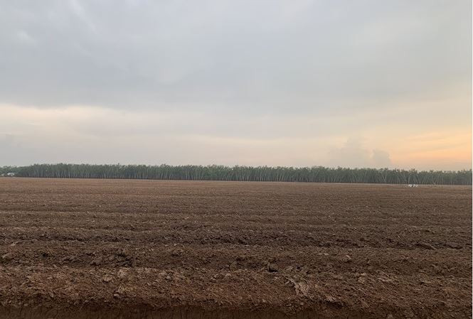 Tap doan Trung Thuy cua chong Hoa hau Thu Thao lay dat vang tu SAGRI nhu the nao?