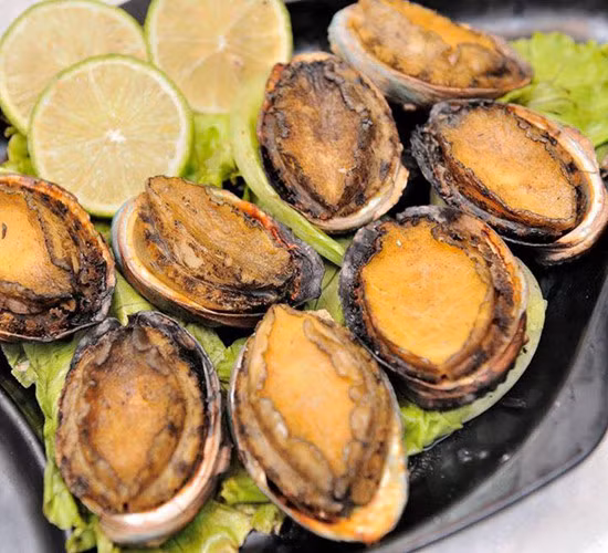 Thịt của bào ngư là một khối cứng giòn, có mùi thơm ngon và rất bổ dưỡng. Ảnh: Tomhumdo.