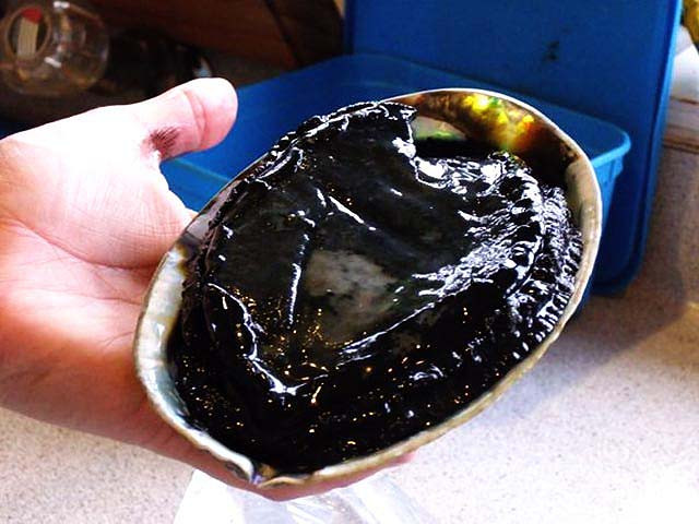 Bào ngư đen New Zealand giá từ 2,1 - 3,3 triệu đồng/kg. Đặc biệt, bào ngư đen sống nhập New Zealand đắt nhất, vào khoảng 6,7 triệu đồng/kg 2-3 con. Ảnh: Haisantuoisong.