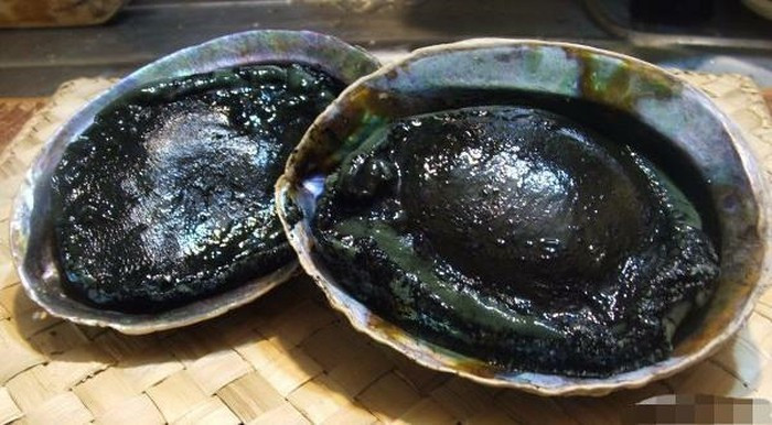 Bào ngư có chân đen, nhưng thịt thì trắng tươi ngon. Ảnh: Vietq.