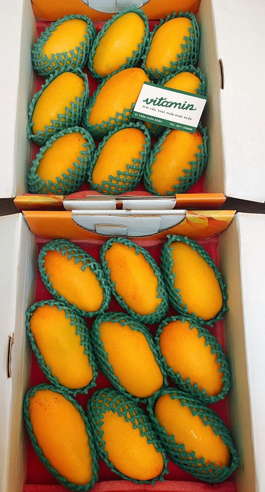 Xoài vàng mini được trồng ở Cao Hùng (Đài Loan). Ảnh: FB Kylie Vu.