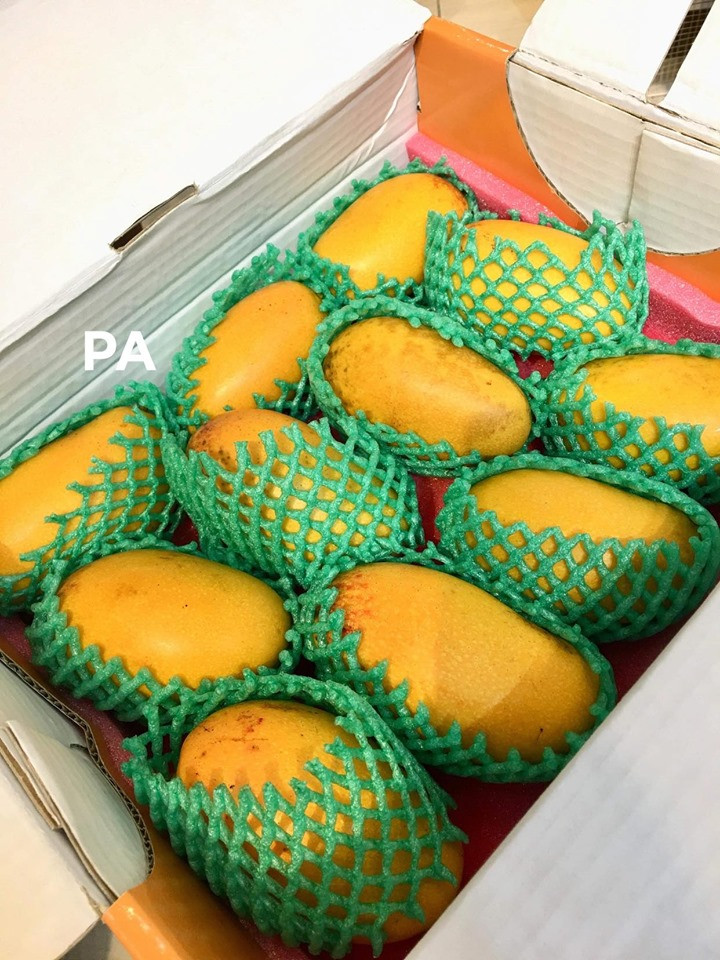 Mỗi thùng xoài mini nhập về thường đóng khoảng 2kg (9-12 quả). Ảnh: FB Phuong Anh.