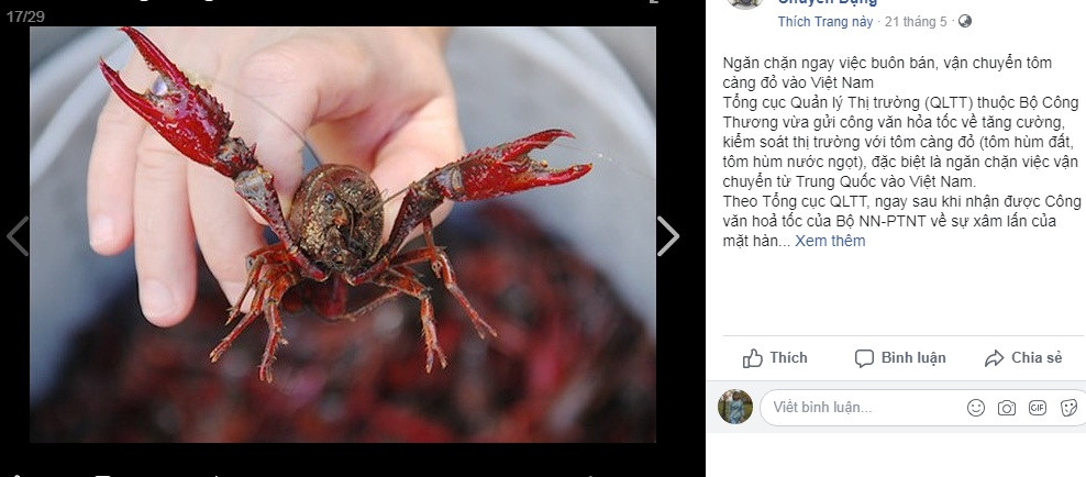 Trên các hội nhóm, admin liên tục đưa ra các thông tin cảnh bảo thành viên không nên mua bán loại tôm này. Ảnh chụp màn hình Facebook.