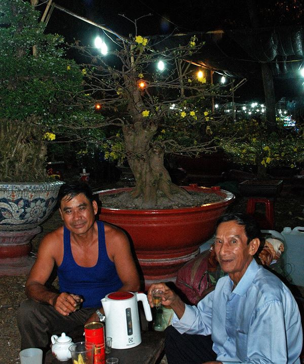 Sung so truoc nhung cay mai tien ty tai cho hoa dem-Hinh-6