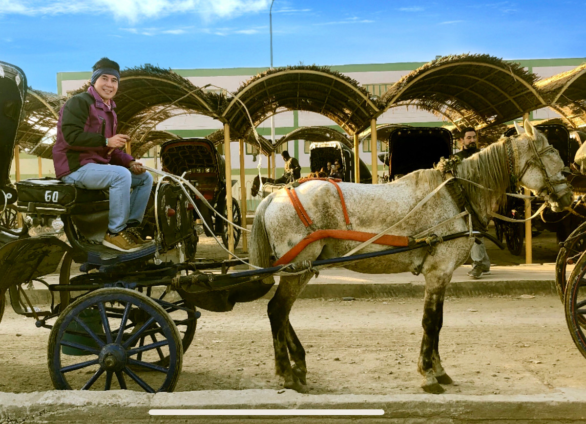 Nam ca sĩ Đoan Trường trong vai một anh chàng đánh xe ngựa đi dạo quanh sa mạc cũng là một trải nghiệm đáng nhớ. Sau chuyến đi, anh được gọi là "anh hùng du lịch". Ca sĩ còn lên kế hoạch đến những điểm “nóng” như Israel, Jordan, Bắc Triều Tiên và Li Băng.