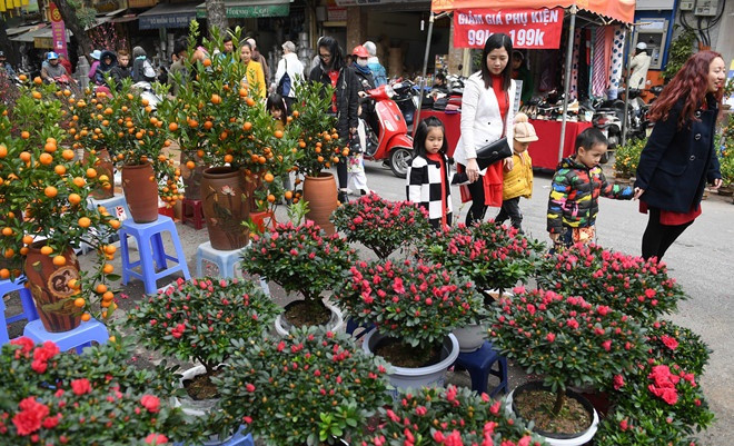 Chợ hoa Tết Hàng Lược họp một đoạn dài trên phố Hàng Lược và các con phố lân cận. Ảnh: Zing.