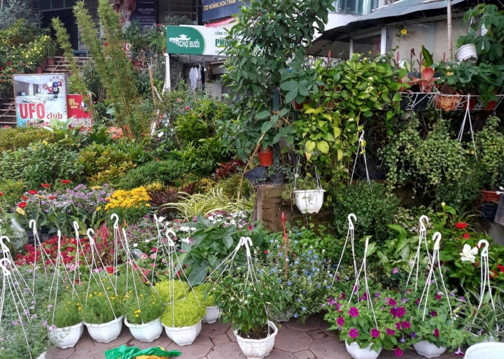 Đây cũng là phiên chợ hiếm hoi còn tồn tại tới ngày nay giữa lòng Thủ đô. Phiên chợ họp chính các ngày 4, 9, 14, 19, 24, 29 âm lịch hàng tháng. Ảnh: SHTT.