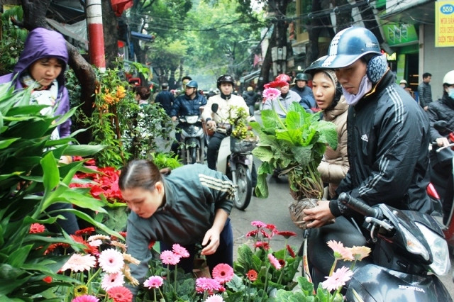 Càng những ngày giáp Tết, chợ Bưởi càng đông vui tấp nập với muôn vàn hoa khoe sắc… từ các nơi mang về bày bán. Ảnh: Baotintuc.