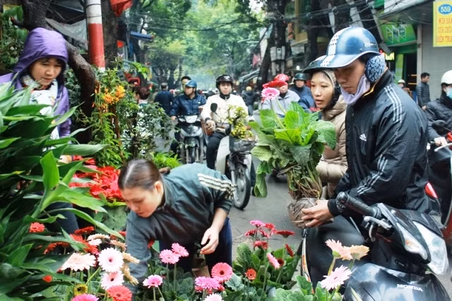 Càng những ngày giáp Tết, chợ Bưởi càng đông vui tấp nập với muôn vàn hoa khoe sắc… từ các nơi mang về bày bán. Ảnh: Baotintuc.