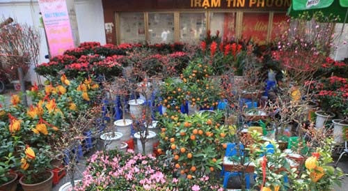 Các sản phẩm ở làng hoa như Ngọc Hà, Tứ Liên, Nghi Tàm, Nhật Tân, Quảng Bá…đều được gom về chợ hoa Hàng Lược mỗi dịp Tết đến. Ảnh: Khám phá.