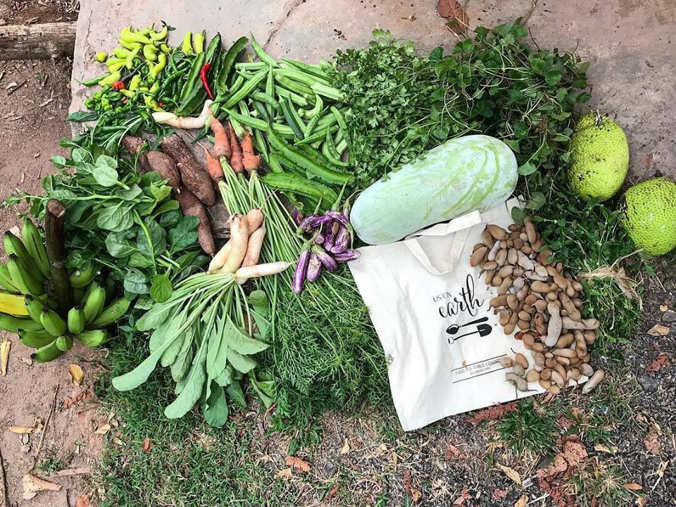 Thành quả sau mỗi lần thu hoạch trong vườn.