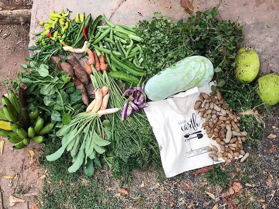 Thành quả sau mỗi lần thu hoạch trong vườn.